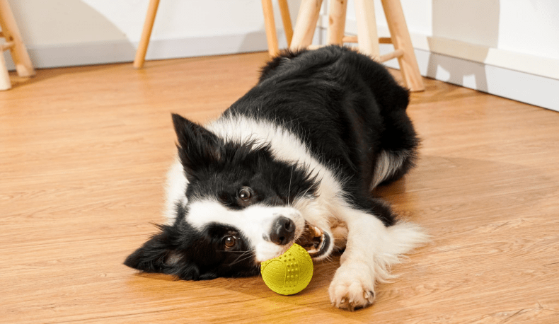 Rubber Balls For Puppy Dog