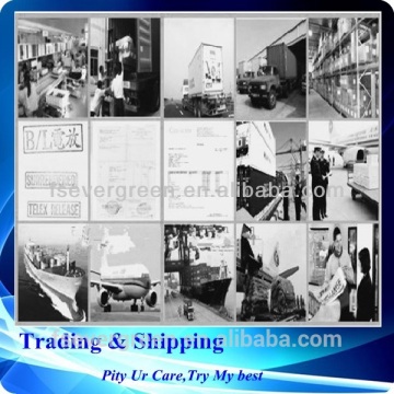 shipping china Guangzhou Shenzhen to zimbabwe freight forward service .