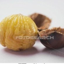 Peeled Chestnut