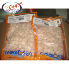 Supplier cheap price wholesales crystal red shrimp frozen pud shrimp