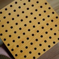 High Quality Perforated Acoustic Panel for Building Material