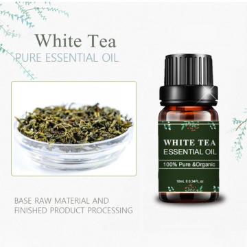 Aroma Oils White Tea Essential Oil Natural Wholesale