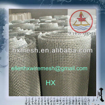 Stainless Square Wire Mesh/Square Wire Mesh 2x2