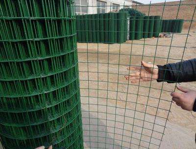 Euro/Holland Fence Type of Economic Fencing