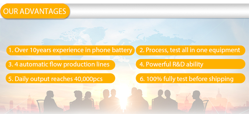 2021 fabrieksfabricage duurzame 0 cyclus batterij 2915mAh oem groothandel batterij voor mobiele telefoon 6P