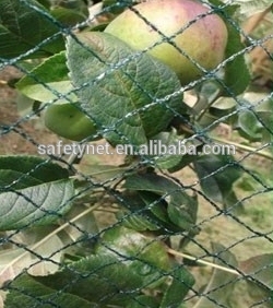 agriculture bird protection net