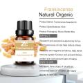 گیاه طبیعی خالص روغن frankincense برای مراقبت از پوست