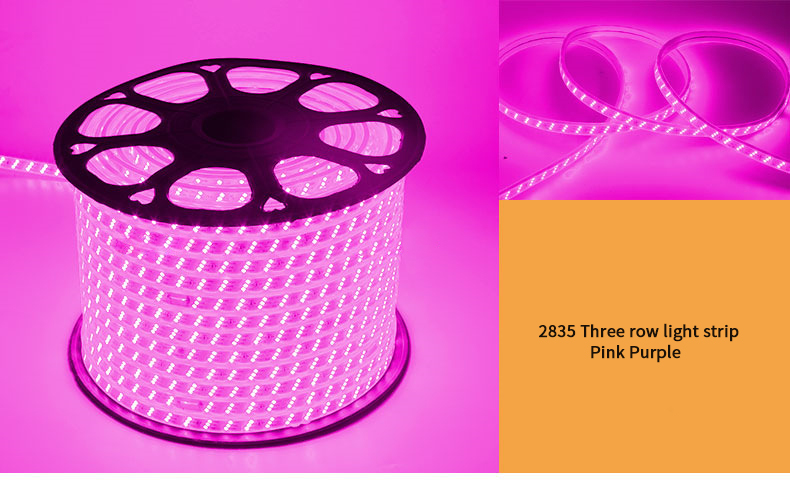 220V RGB 5050 Led Strip Flexible light Waterproof IP67 APP control Led Rope Light