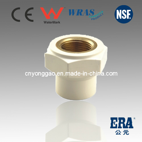 Cp021 Female Adaptor with Brass Insert CPVC Fittings