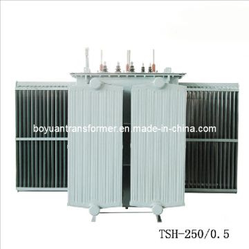 Magnetic Voltage Regulator Series (TDH2, TSH, TDGH, TSGH) (TSH-250/0.5)