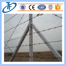 Stainless galvanized and PVC coated Barbed wire