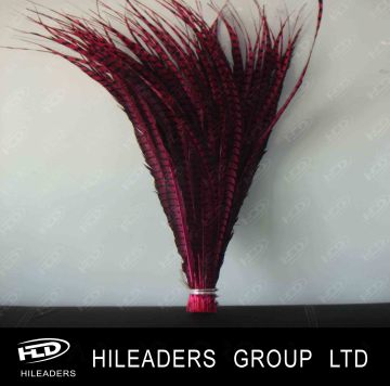 Dyed Lady Amherst Pheasant Feathers (FH009)