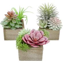 Mini succulenti finte verdi assortite in vasi