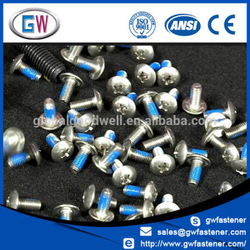 Blue Nylon Patch Screw Truss Head Phillip Drive