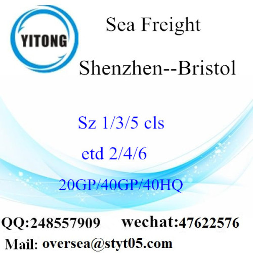 Shenzhen Port Sea Freight Shipping To Bristol