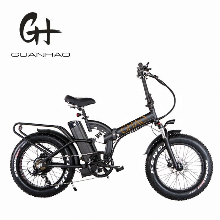 20 Inch Full Suspension Fat Tire Electric Bike