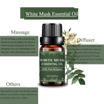 Massagem natural pura hidratante Óleo essencial de almíscar branco