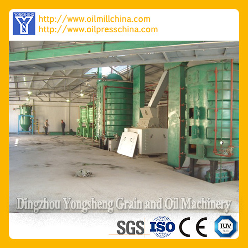 Sunflower Seed Oil Extraction Machine