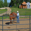 Hot Dipped Galvanized Horse Round Pennor