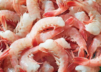 Frozen Seafood Headless Pink Shrimp