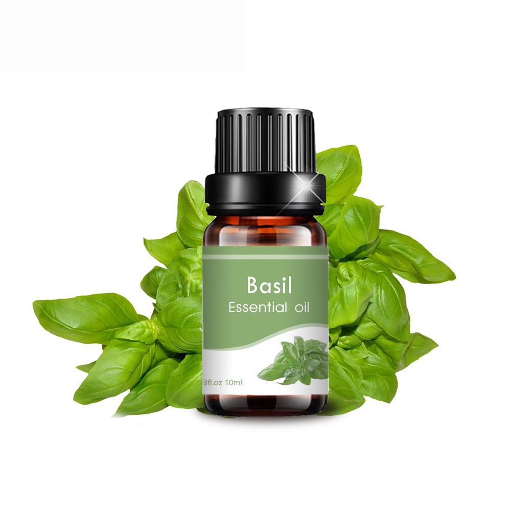 Grado terapéutico OEM Basil Natural OEM Aceite esencial