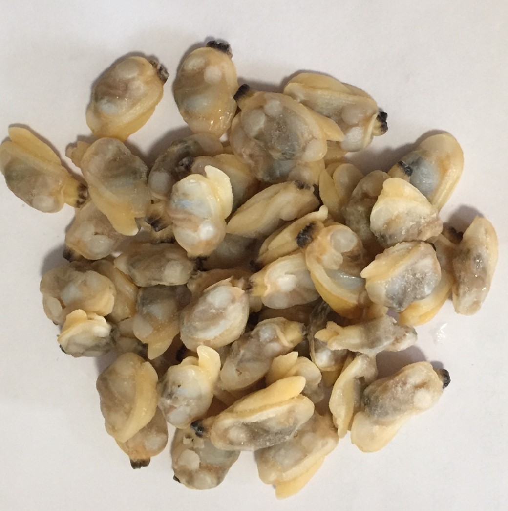 Mięso małży w wyszukiwarce skorupiaków