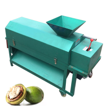 Automatic Green Walnut Sheller and Peeling Machine