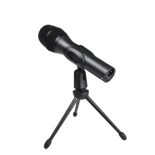 Professional Dynamics Microphones: AT2005 - The Most Beautiful Vocal Studio Recording Equipment