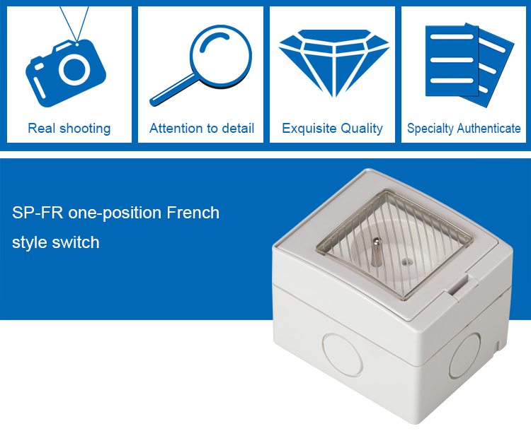 SAIP/SAIPWELL New Product One Gang 110-250V 16A Waterproof Electrical Socket