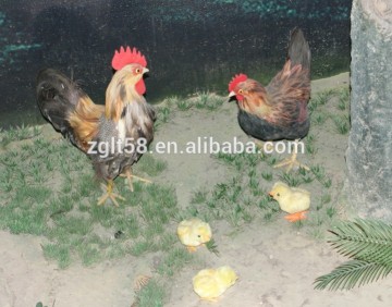 Life Size Chicken Family Simlation Chicken