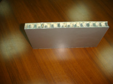 PVDF Painted Al-Honeycomb Panels - 2