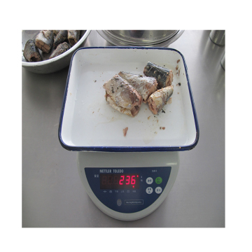 mackerel brine water canned,on sale canned jack mackerel,producer of canned mackerel