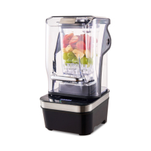 DALLE Big Capacity Silent Commercial Smoothie Maker