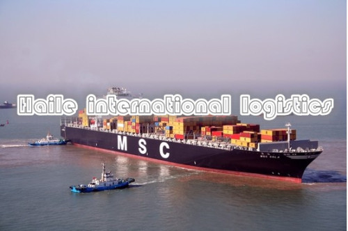 Logistic New Choice Ocean /Sea Shipping From China to Indonesia