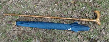 walking stick umbrella