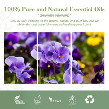 100% Pure Organic Violet Essential Oil for Anti - Inflammation,Body,Skin