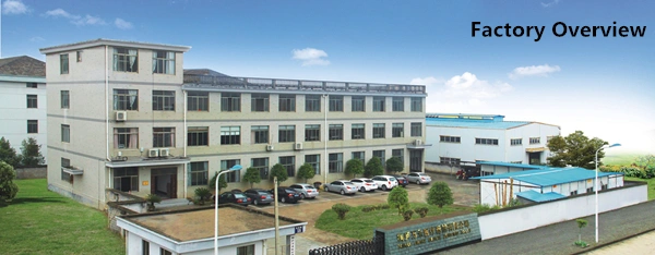 Ent Basic Surgical Instruments Micro Needle Holder Forceps