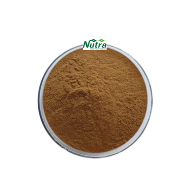 Natural Organic Dendrobium officinale Extract Dendrobine