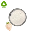 Extrait de fruits de fraise blanc biologique 99% de poudre