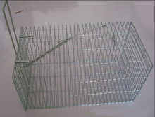 Metal live animal trap