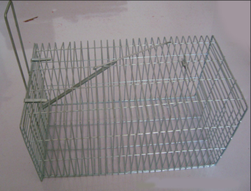 Metal live animal trap