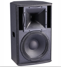CVR PRO 2-way, full range loudspeaker system.