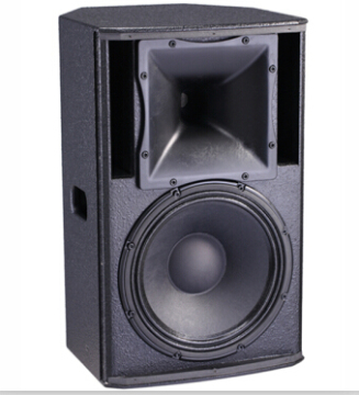 CVR PRO 2-way, full range loudspeaker system.