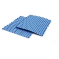 shatkti acupressure mat for back pain relief