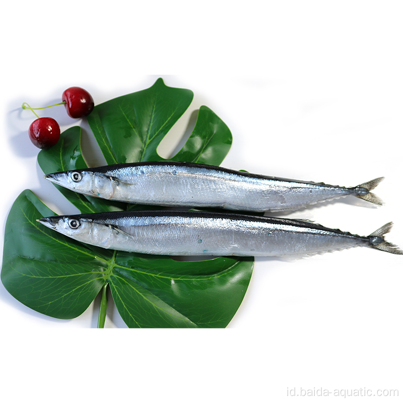 Ikan Kaleng Saury Dalam Minyak