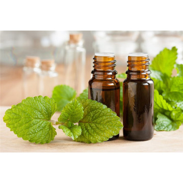 minyak Lemon Balm murni dan alami