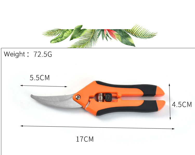 Ciseaux de jardinage à tête incurvée sécateur de jardin de bonne qualité branches de fleurs antidérapantes économisant du travail cisailles de branche d'arbre