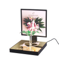 APEX Custom Led Illumination Desktop Makeup Display