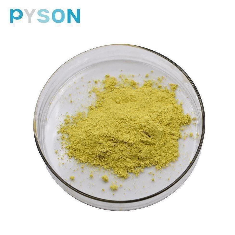 مستخلص Sophora Japonica Extract 95٪ HPLC Powder