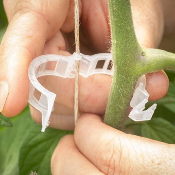 Tomato Grafting Clips for Direct Deal: Plant Clips and Trellis Clips